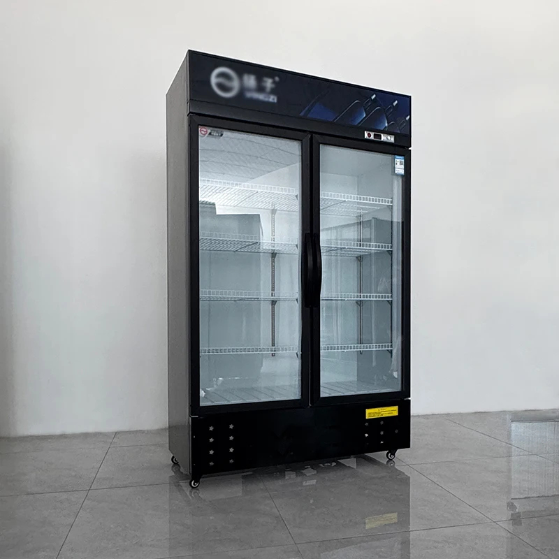 Getränkekühlschrank mit Einzel – Wine Beer Cooler Direct Bewertung und Preis